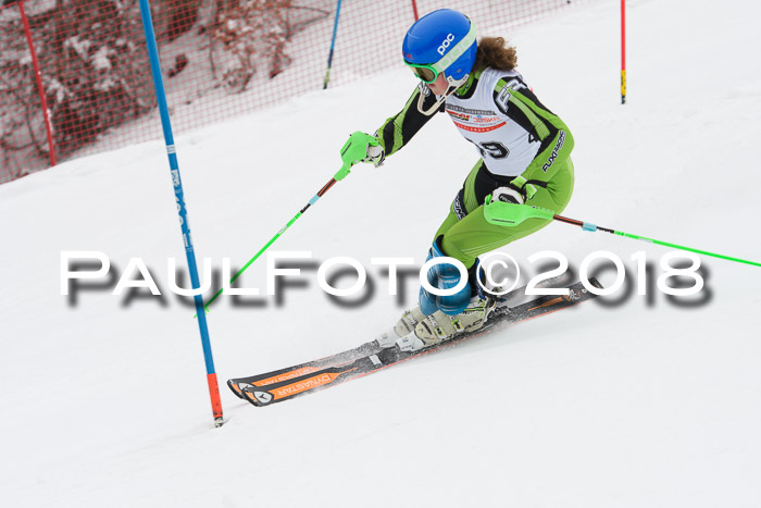 FIS Slalom Damen + Herren 23.02.2018