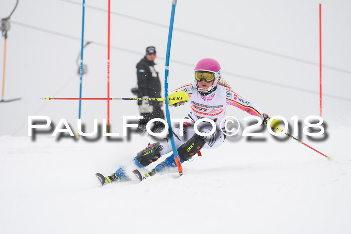 FIS Slalom Damen + Herren 23.02.2018