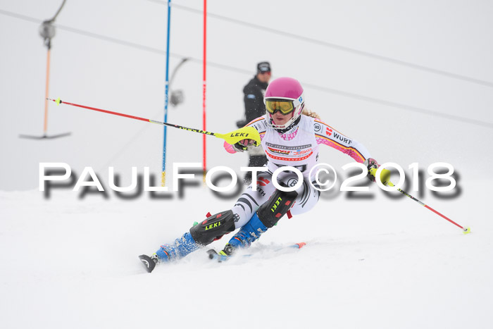 FIS Slalom Damen + Herren 23.02.2018