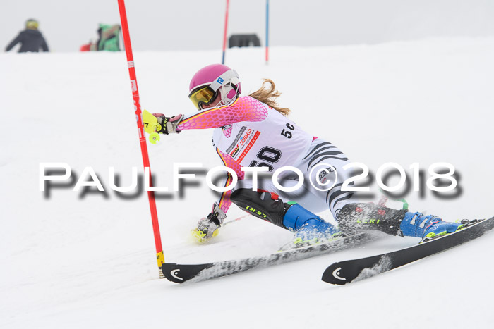 FIS Slalom Damen + Herren 23.02.2018