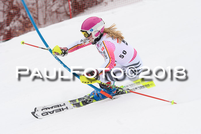 FIS Slalom Damen + Herren 23.02.2018