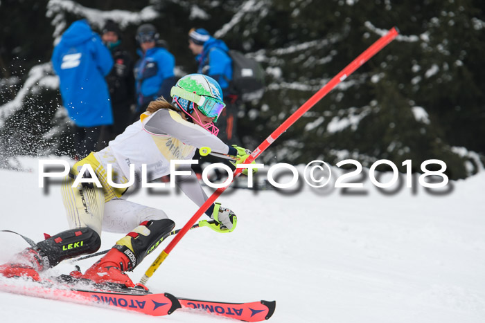FIS Slalom Damen + Herren 23.02.2018