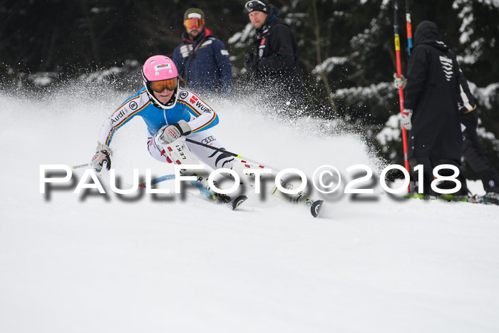 FIS Slalom Damen + Herren 23.02.2018