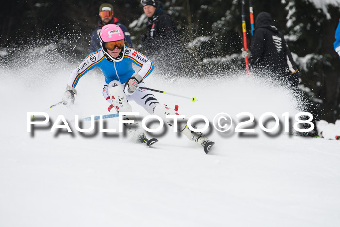 FIS Slalom Damen + Herren 23.02.2018