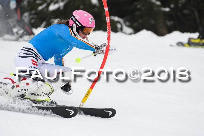 FIS Slalom Damen + Herren 23.02.2018