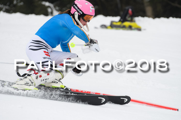 FIS Slalom Damen + Herren 23.02.2018