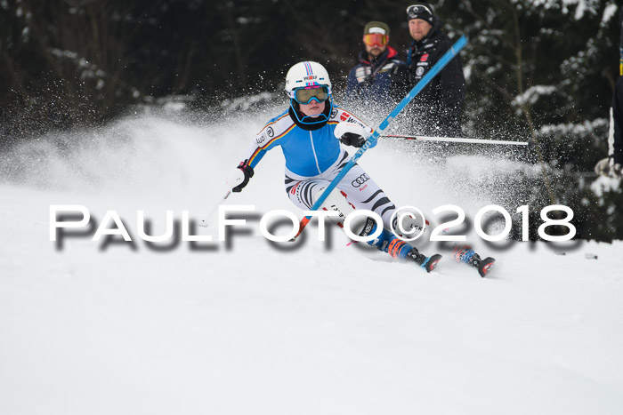 FIS Slalom Damen + Herren 23.02.2018