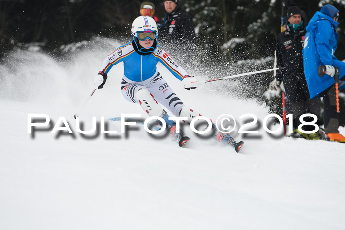 FIS Slalom Damen + Herren 23.02.2018