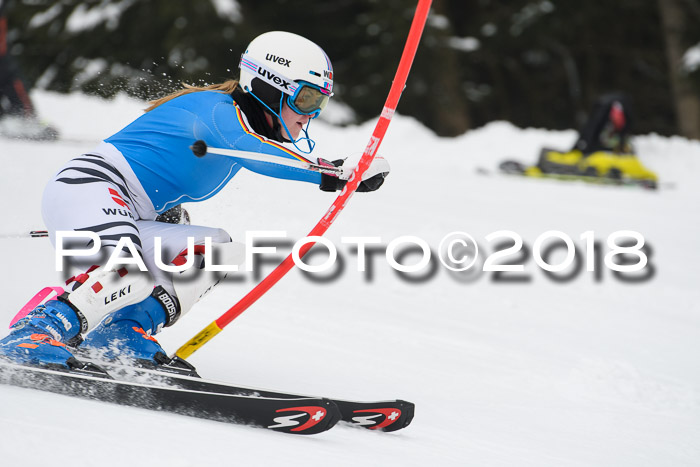 FIS Slalom Damen + Herren 23.02.2018