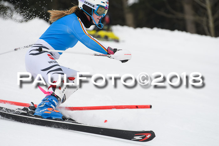 FIS Slalom Damen + Herren 23.02.2018