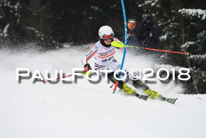 FIS Slalom Damen + Herren 23.02.2018