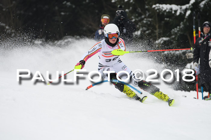 FIS Slalom Damen + Herren 23.02.2018