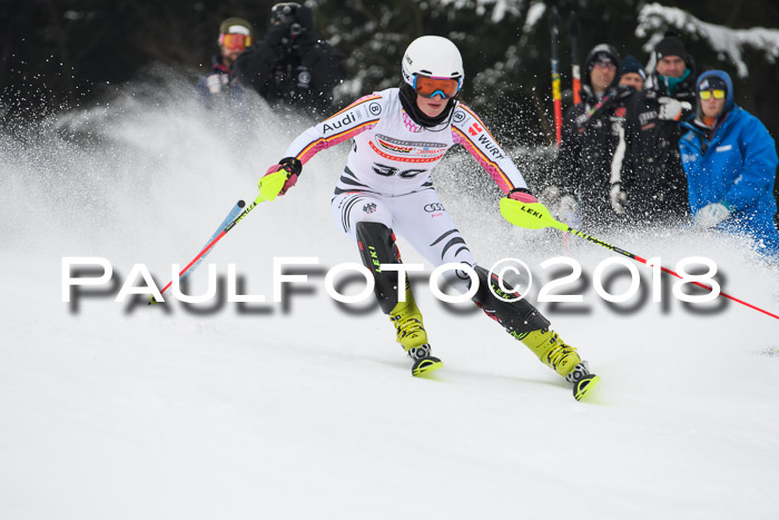 FIS Slalom Damen + Herren 23.02.2018