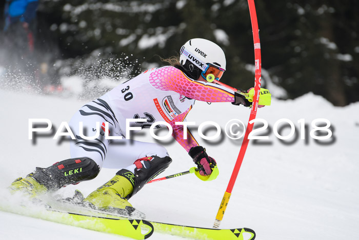 FIS Slalom Damen + Herren 23.02.2018