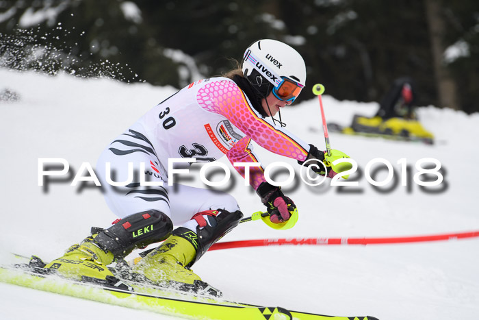 FIS Slalom Damen + Herren 23.02.2018