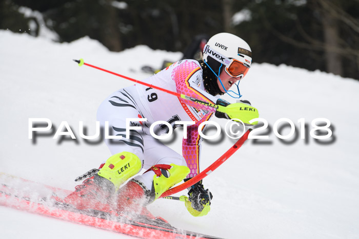FIS Slalom Damen + Herren 23.02.2018
