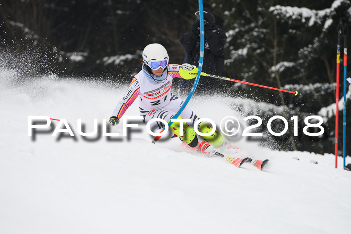 FIS Slalom Damen + Herren 23.02.2018