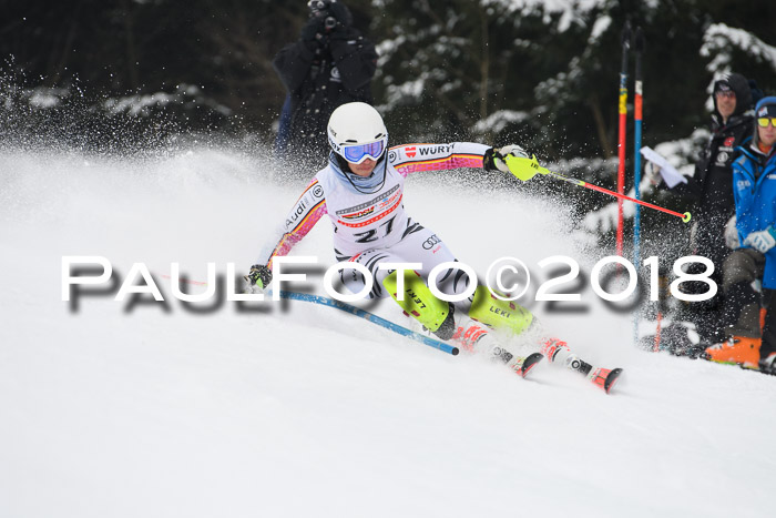 FIS Slalom Damen + Herren 23.02.2018