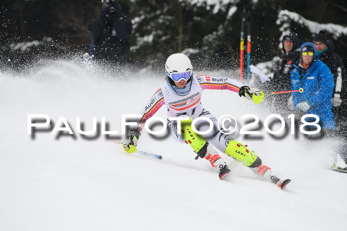 FIS Slalom Damen + Herren 23.02.2018