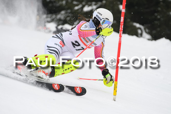 FIS Slalom Damen + Herren 23.02.2018