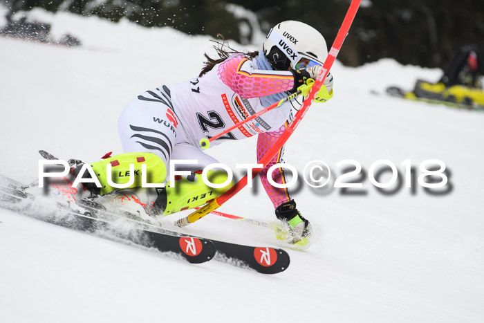 FIS Slalom Damen + Herren 23.02.2018