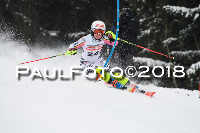 FIS Slalom Damen + Herren 23.02.2018