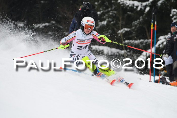 FIS Slalom Damen + Herren 23.02.2018