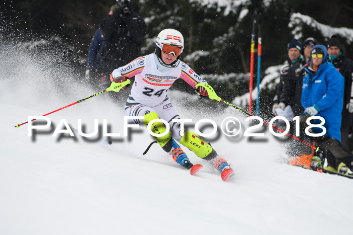FIS Slalom Damen + Herren 23.02.2018