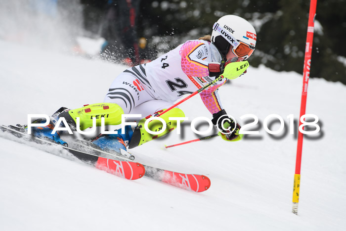 FIS Slalom Damen + Herren 23.02.2018
