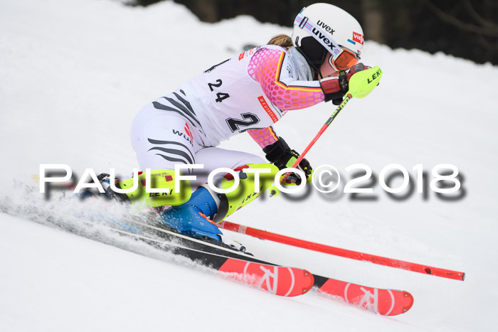 FIS Slalom Damen + Herren 23.02.2018