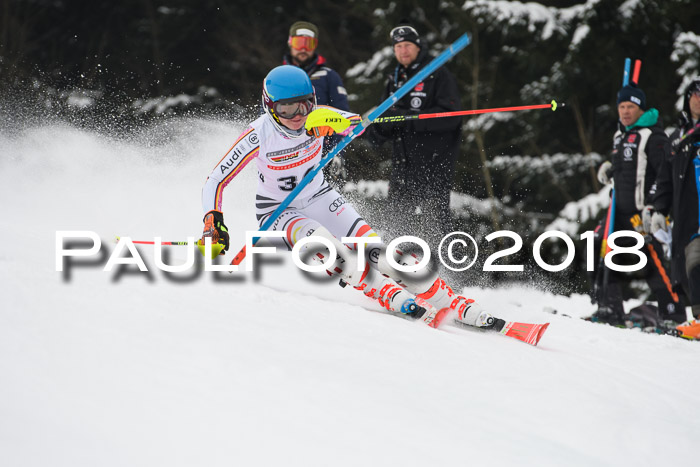 FIS Slalom Damen + Herren 23.02.2018