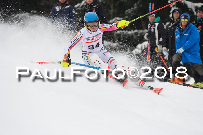 FIS Slalom Damen + Herren 23.02.2018