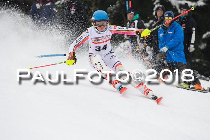 FIS Slalom Damen + Herren 23.02.2018