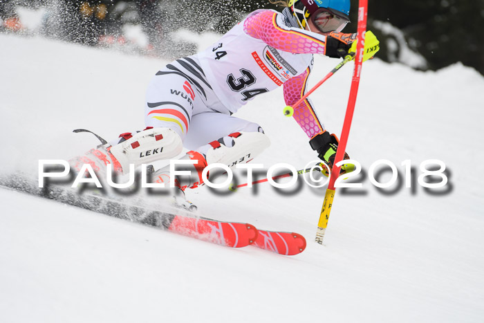 FIS Slalom Damen + Herren 23.02.2018