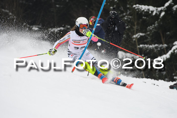 FIS Slalom Damen + Herren 23.02.2018