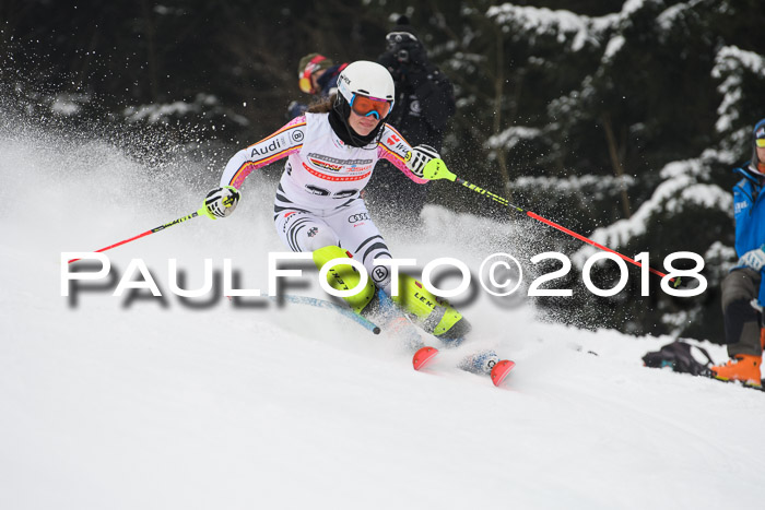 FIS Slalom Damen + Herren 23.02.2018