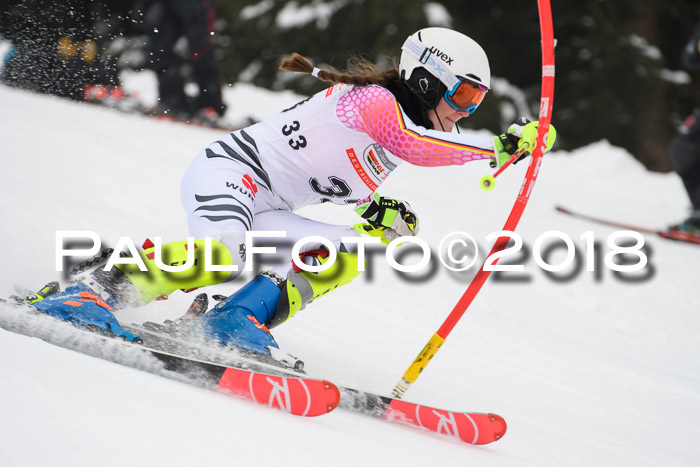 FIS Slalom Damen + Herren 23.02.2018
