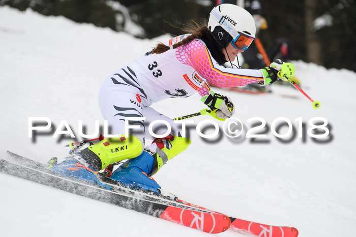 FIS Slalom Damen + Herren 23.02.2018