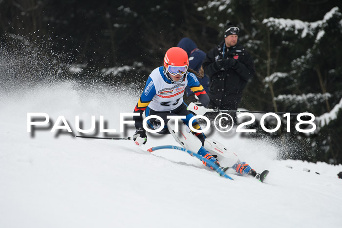 FIS Slalom Damen + Herren 23.02.2018