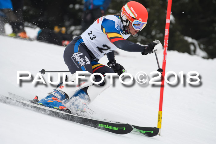 FIS Slalom Damen + Herren 23.02.2018