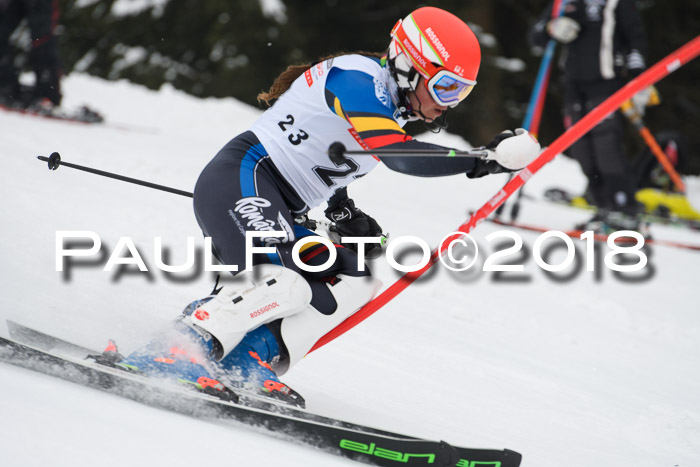 FIS Slalom Damen + Herren 23.02.2018