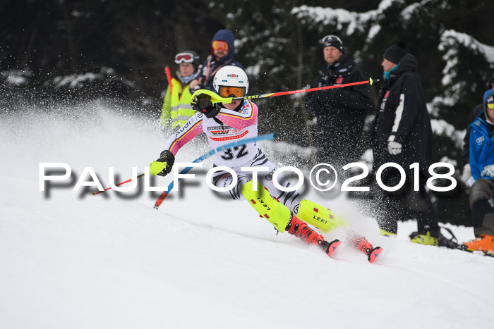 FIS Slalom Damen + Herren 23.02.2018