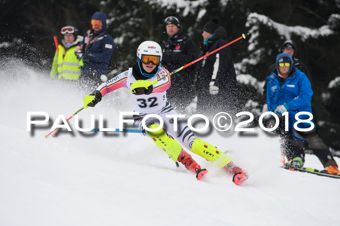 FIS Slalom Damen + Herren 23.02.2018