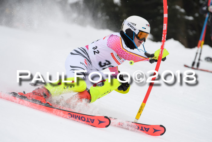 FIS Slalom Damen + Herren 23.02.2018
