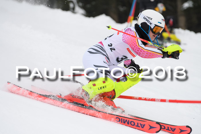 FIS Slalom Damen + Herren 23.02.2018