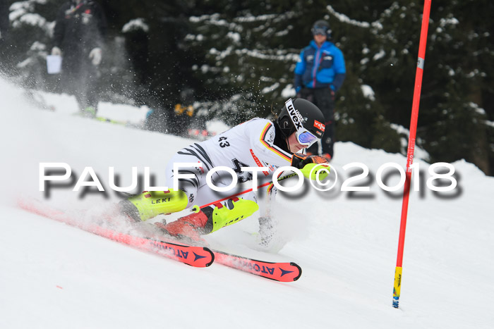 FIS Slalom Damen + Herren 23.02.2018
