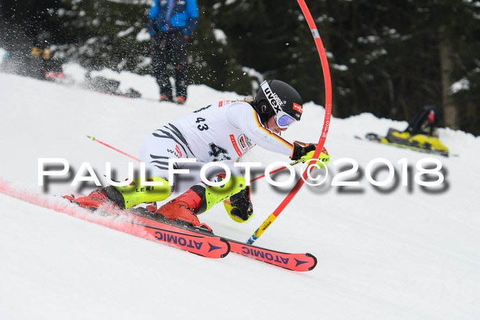 FIS Slalom Damen + Herren 23.02.2018