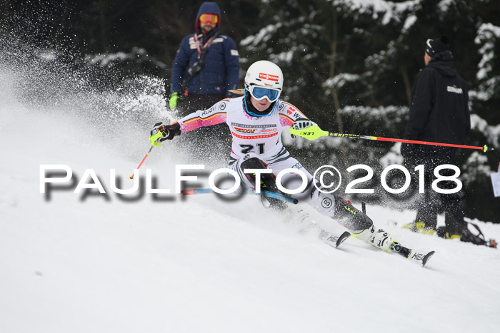 FIS Slalom Damen + Herren 23.02.2018