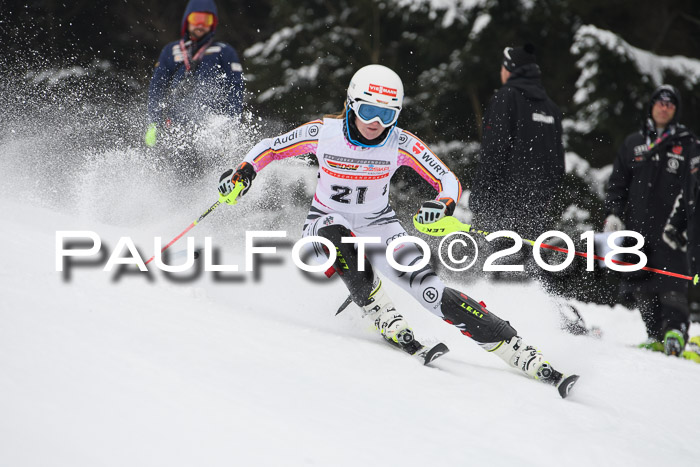 FIS Slalom Damen + Herren 23.02.2018