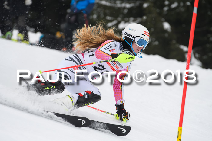 FIS Slalom Damen + Herren 23.02.2018